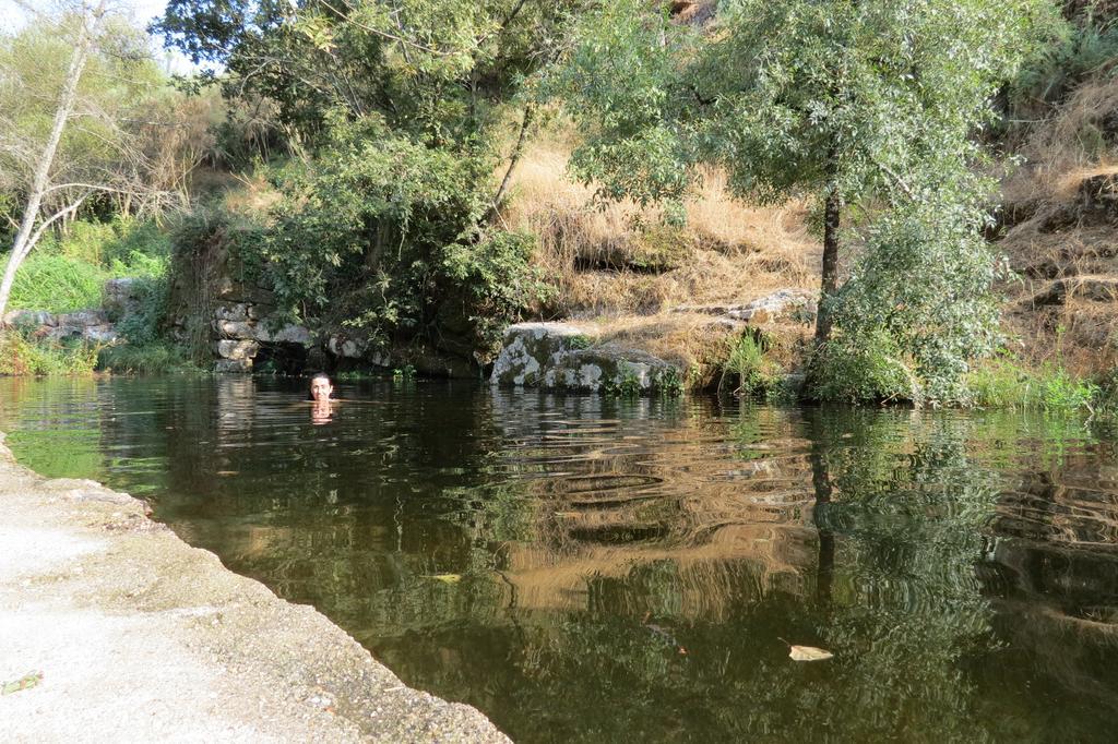 Casa Do O - Alojamento Local Tábua Εξωτερικό φωτογραφία